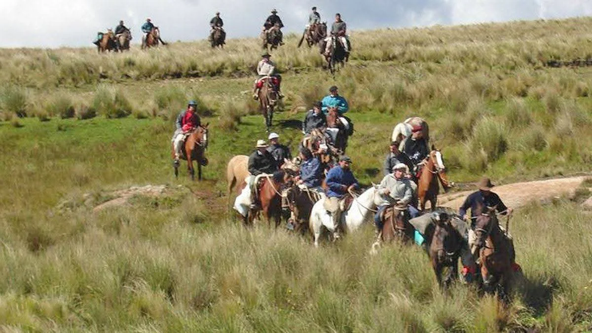 WhatsApp Image 2026-03-24 at 21.16.41ginetes4