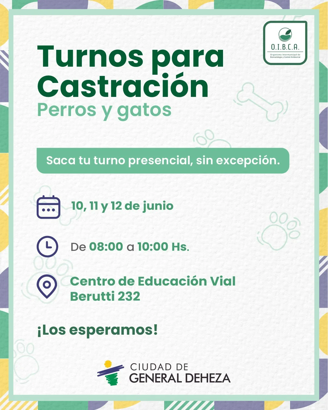 WhatsApp Image 2026-06-09 at 19.35.19castracion2