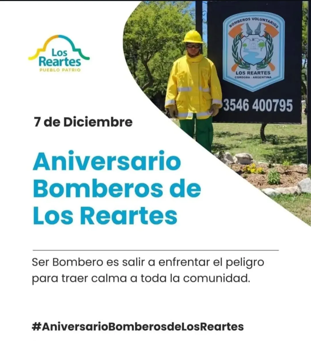 bobmeros reartes33