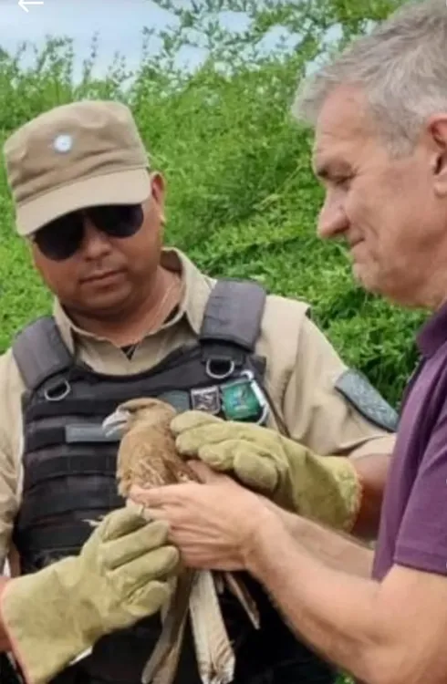 WhatsApp Image 2026-01-24 at 21.57.10cuadrado chimango12