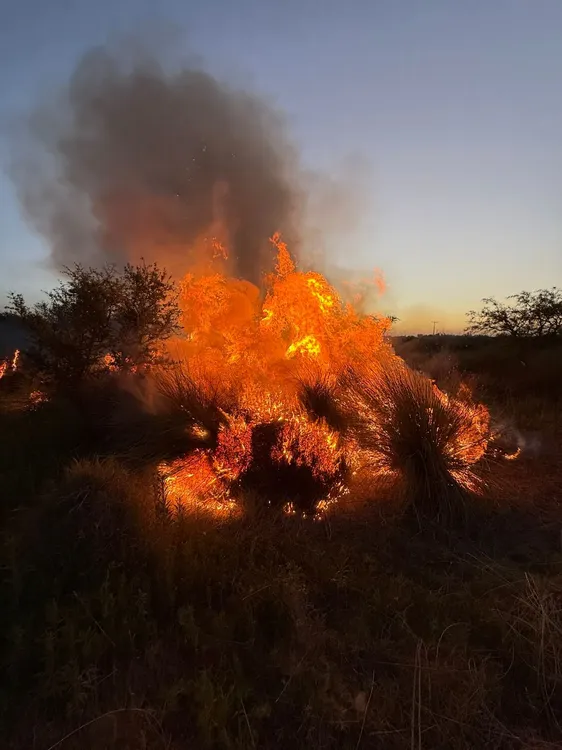 WhatsApp Image 2026-01-06 at 13.02.29incendio rural11