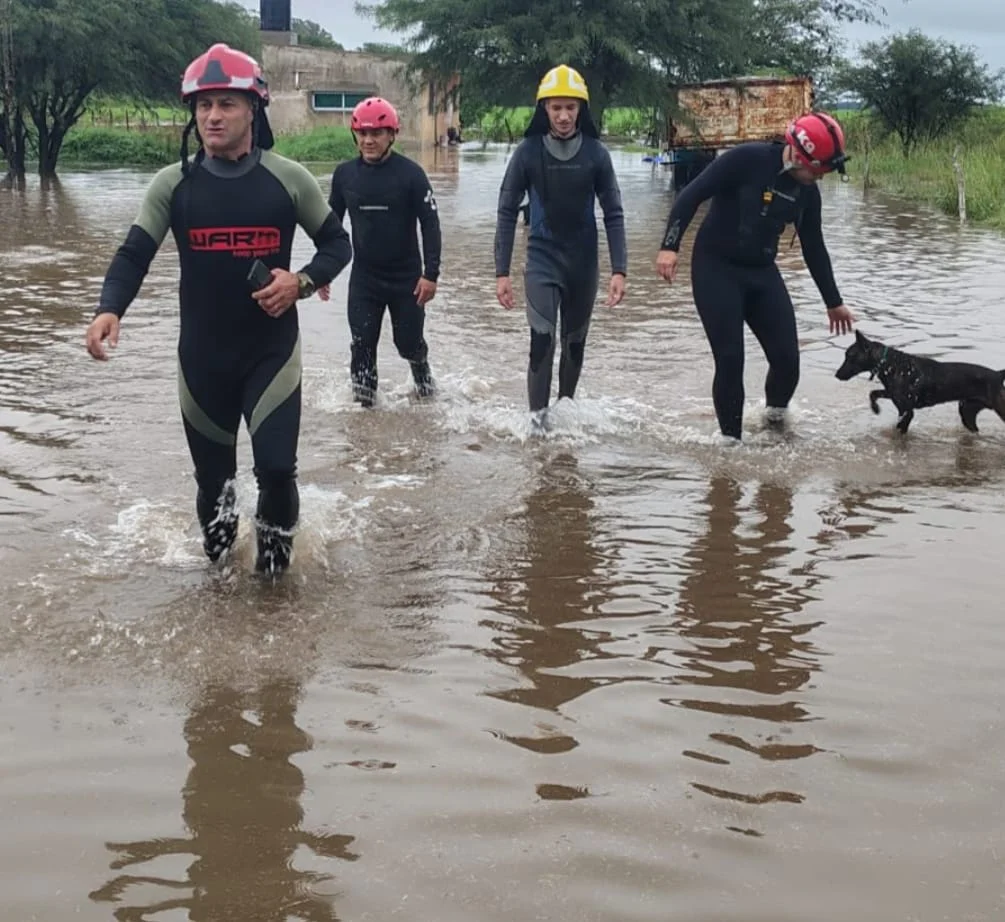 WhatsApp Image 2026-04-02 at 14.49.14bbokmeros55